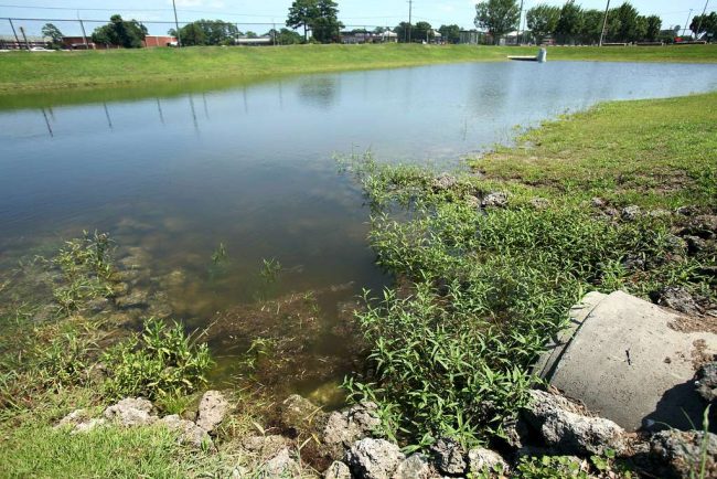 Retention Pond – file CC